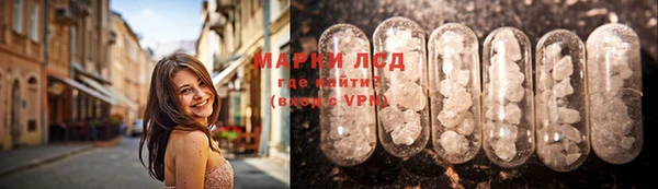 индика Абинск