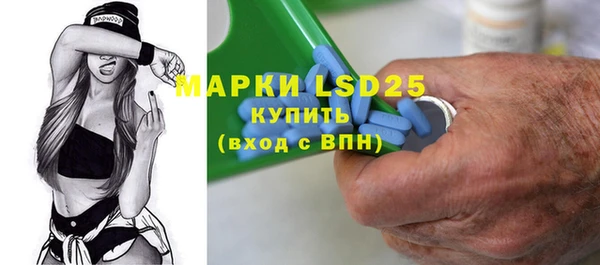 индика Абинск