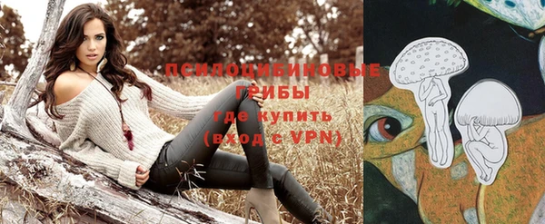 индика Абинск