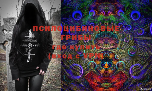 индика Абинск
