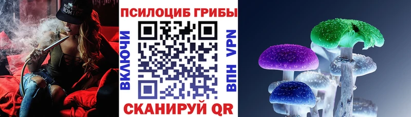 дарнет шоп  Богданович  blacksprut как войти  Галлюциногенные грибы мухоморы 